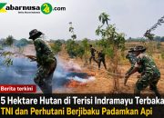 5 Hektare Hutan di Terisi Indramayu Terbakar, TNI dan Perhutani Berjibaku Padamkan Api