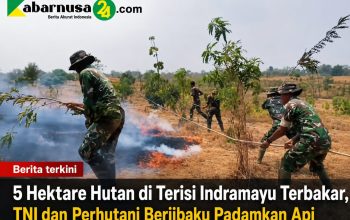 5 Hektare Hutan di Terisi Indramayu Terbakar, TNI dan Perhutani Berjibaku Padamkan Api