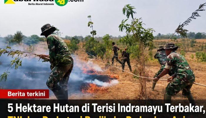 5 Hektare Hutan di Terisi Indramayu Terbakar, TNI dan Perhutani Berjibaku Padamkan Api