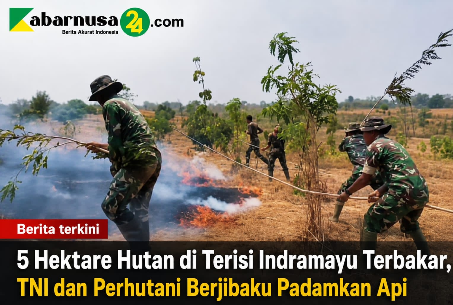 5 Hektare Hutan di Terisi Indramayu Terbakar, TNI dan Perhutani Berjibaku Padamkan Api