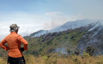 BPBD Lumajang Luruskan Kabar APG Semeru: Erupsi Ada, Awan Panas Nihil