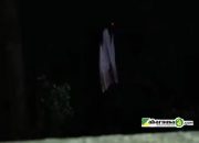 Geger! Sosok Berbaju Putih dan Berambut Panjang Muncul di Bawah Asta Nyamplong, Warga Heboh