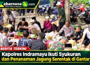 Kapolres Indramayu Ikuti Syukuran dan Penanaman Jagung Serentak di Gantar