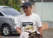 Data Desil Bermasalah, Komisi X Beri Batas Dua Pekan untuk BPS