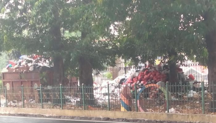 Pengamat : Diduga Petugas Dipo Jagakarsa Sengaja Lambat Angkut Sampah Tanpa Retribusi di Jalan Raya Lenteng Agung