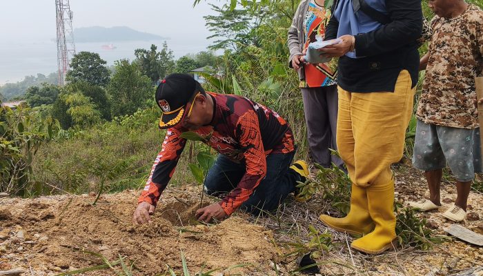 Bersama PLN Indonesia Power UBP Labuhan Angin, Yayasan Jamil Solution Dorong Gerakan Penghijauan Bersama PLN Indonesia Power UBP Labuhan Angin, Yayasan Jamil Solution Dorong Gerakan Penghijauan