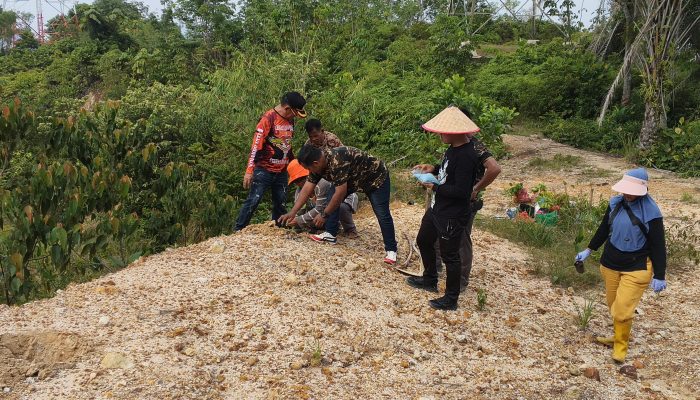 Bersama PLN Indonesia Power UBP Labuhan Angin, Yayasan Jamil Solution Dorong Gerakan Penghijauan Bersama PLN Indonesia Power UBP Labuhan Angin, Yayasan Jamil Solution Dorong Gerakan Penghijauan