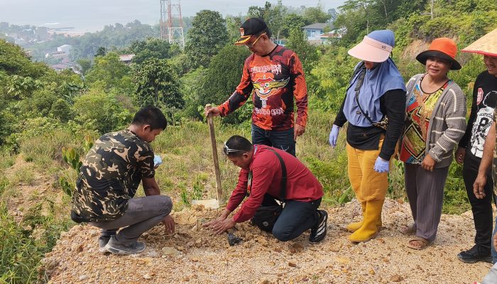Bersama PLN Indonesia Power UBP Labuhan Angin, Yayasan Jamil Solution Dorong Gerakan Penghijauan Bersama PLN Indonesia Power UBP Labuhan Angin, Yayasan Jamil Solution Dorong Gerakan Penghijauan