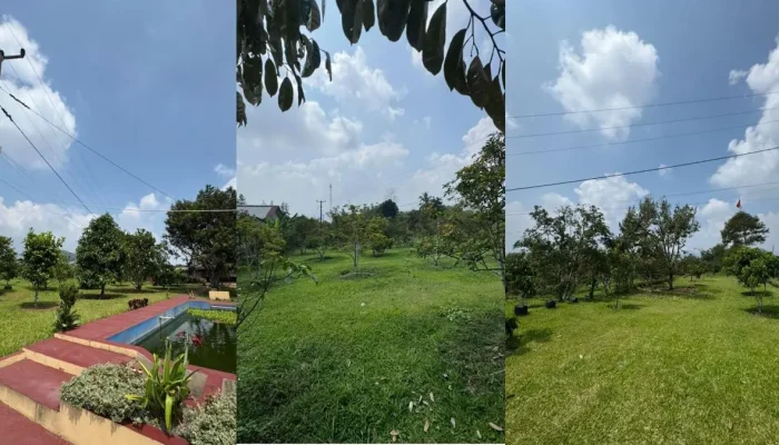 KPK Cek Asal Usul Kebun 1,5 Hektare Milik Ipda Yayat Sudrajat