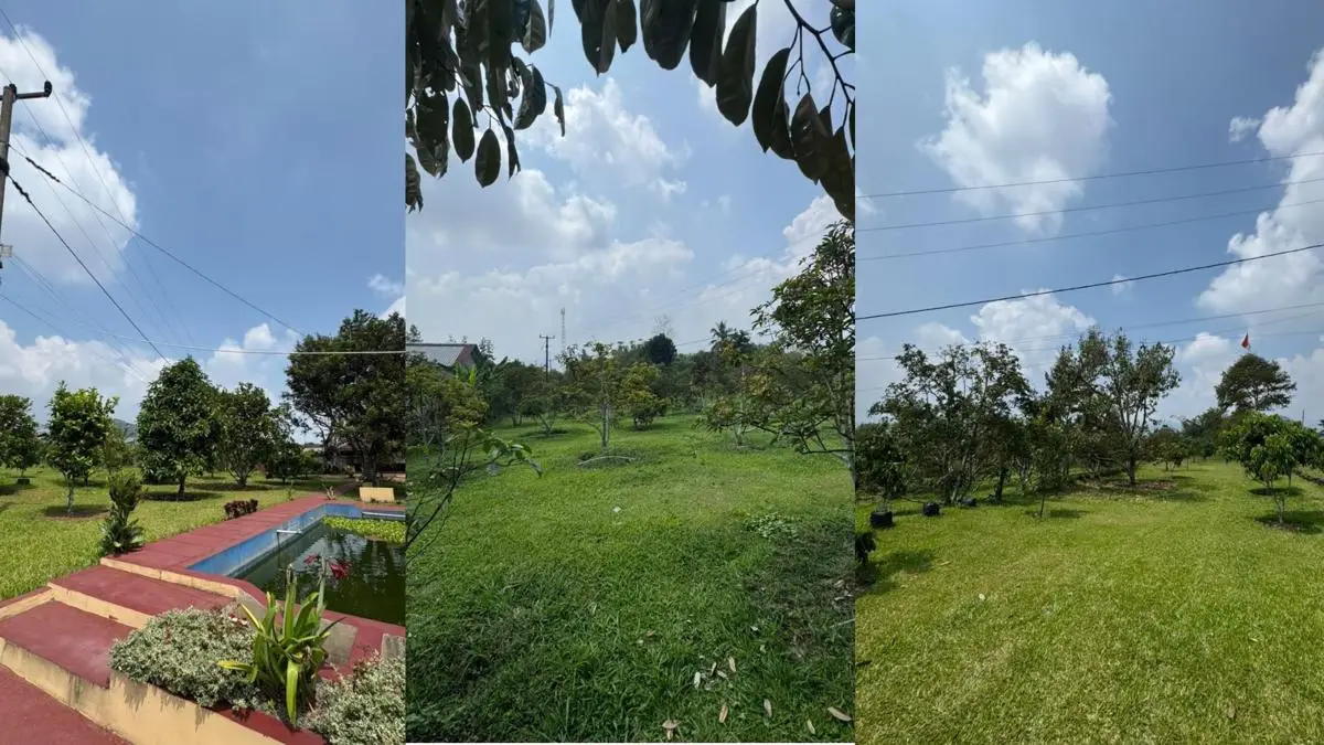 KPK Cek Asal Usul Kebun 1,5 Hektare Milik Ipda Yayat Sudrajat