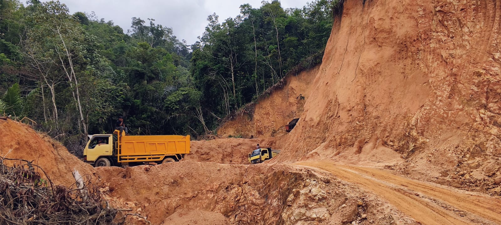 PBG Belum Terbit, Aktivitas Pematangan Lahan di Tukka Tetap Berjalan? Warga Pertanyakan Ketegasan Pemerintah