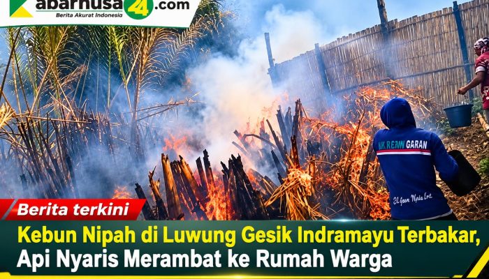 Kebun Nipah di Luwung Gesik Indramayu Terbakar, Api Nyaris Merambat ke Rumah Warga