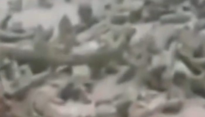 Laut Tapteng Diduga Dijarah Kapal Bom, Menteri KKP Diminta Turun Tangan dan Bongkar Permainan Oknum