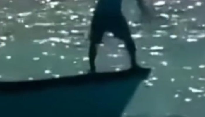 Laut Tapteng Diduga Dijarah Kapal Bom, Menteri KKP Diminta Turun Tangan dan Bongkar Permainan Oknum