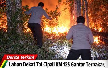 Lahan Dekat Tol Cipali KM 125 Gantar Terbakar, Polisi dan Warga Bergerak Cepat Padamkan Api