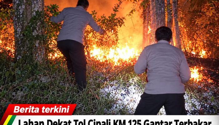Lahan Dekat Tol Cipali KM 125 Gantar Terbakar, Polisi dan Warga Bergerak Cepat Padamkan Api