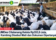 BUMDes Cilalanang Kelola Rp353,9 Juta, 19 Kambing Disebut Mati dan Dokumen Dipertanyakan