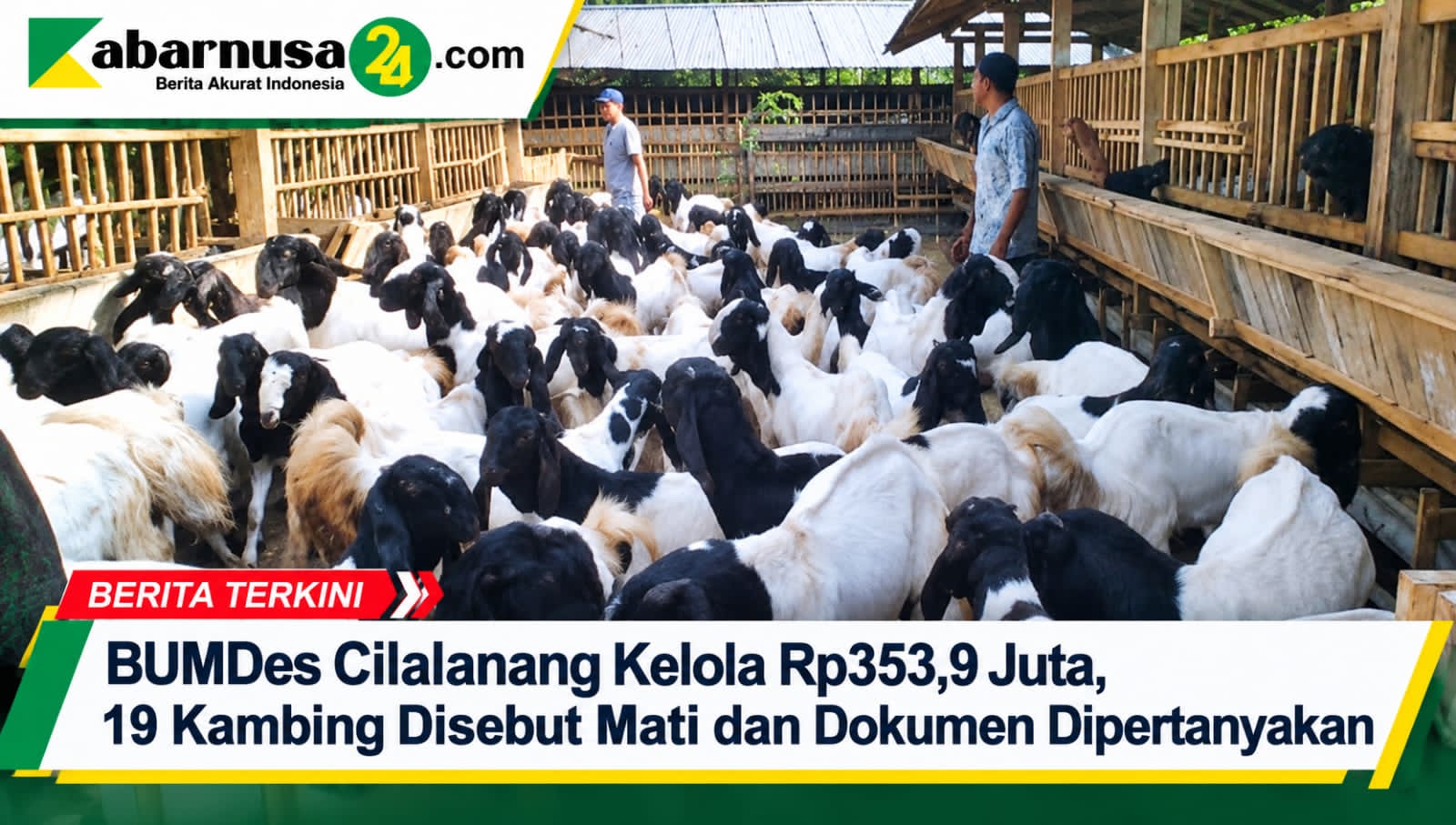 BUMDes Cilalanang Kelola Rp353,9 Juta, 19 Kambing Disebut Mati dan Dokumen Dipertanyakan