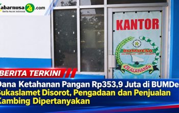Dana Ketahanan Pangan Rp353,9 Juta di BUMDes Sukaslamet Disorot, Pengadaan dan Penjualan Kambing Dipertanyakan