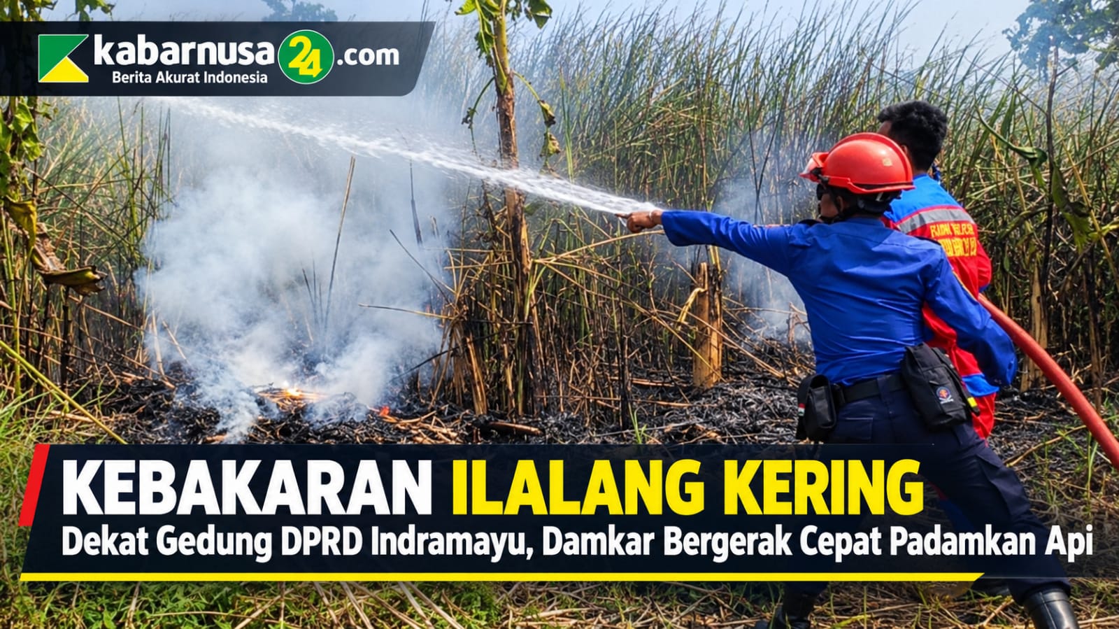 Kebakaran Ilalang Kering Dekat Gedung DPRD Indramayu, Damkar Bergerak Cepat Padamkan Api
