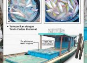 Kapal Diduga Bawa Bom Ikan di Perairan Sibolga, Masyarakat Desak Pemeriksaan