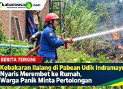 Kebakaran Ilalang di Pabean Udik Indramayu Nyaris Merembet ke Rumah, Warga Panik Minta Pertolongan