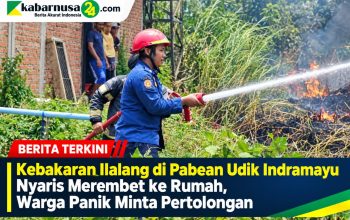 Kebakaran Ilalang di Pabean Udik Indramayu Nyaris Merembet ke Rumah, Warga Panik Minta Pertolongan