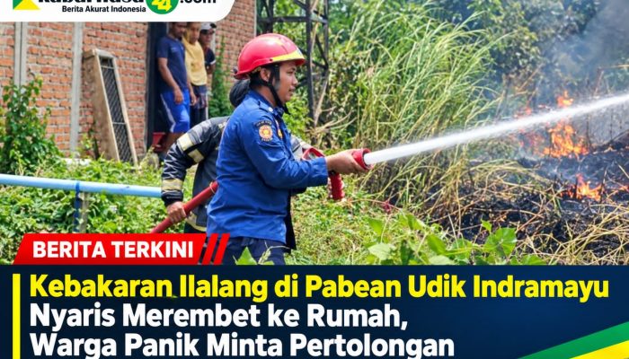 Kebakaran Ilalang di Pabean Udik Indramayu Nyaris Merembet ke Rumah, Warga Panik Minta Pertolongan
