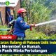 Kebakaran Ilalang di Pabean Udik Indramayu Nyaris Merembet ke Rumah, Warga Panik Minta Pertolongan