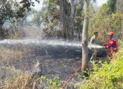 Kebakaran Hutan Mangga di Perbatasan Pawidean dan Bonjot, Lebih dari Satu Hektare Lahan Terbakar