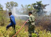 Kebakaran Hutan Mangga di Perbatasan Pawidean dan Bonjot, Lebih dari Satu Hektare Lahan Terbakar