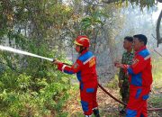 Kebakaran Hutan Mangga di Perbatasan Pawidean dan Bonjot, Lebih dari Satu Hektare Lahan Terbakar