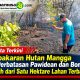Kebakaran Hutan Mangga di Perbatasan Pawidean dan Bonjot, Lebih dari Satu Hektare Lahan Terbakar