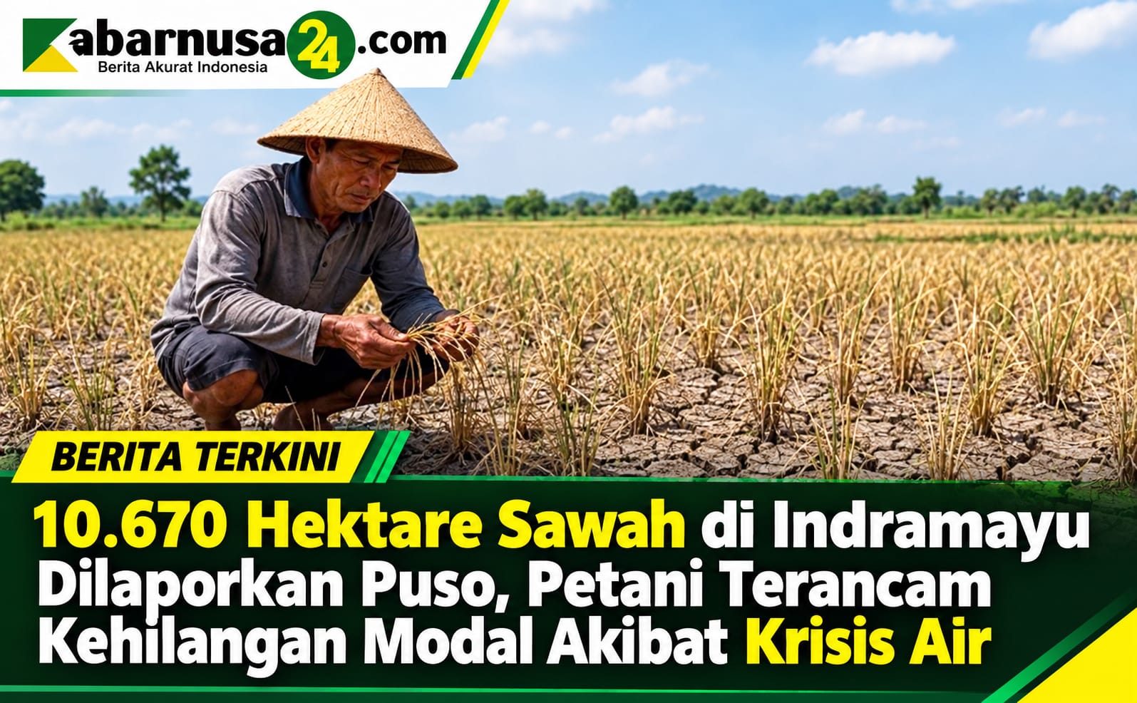 10.670 Hektare Sawah di Indramayu Dilaporkan Puso, Petani Terancam Kehilangan Modal Akibat Krisis Air