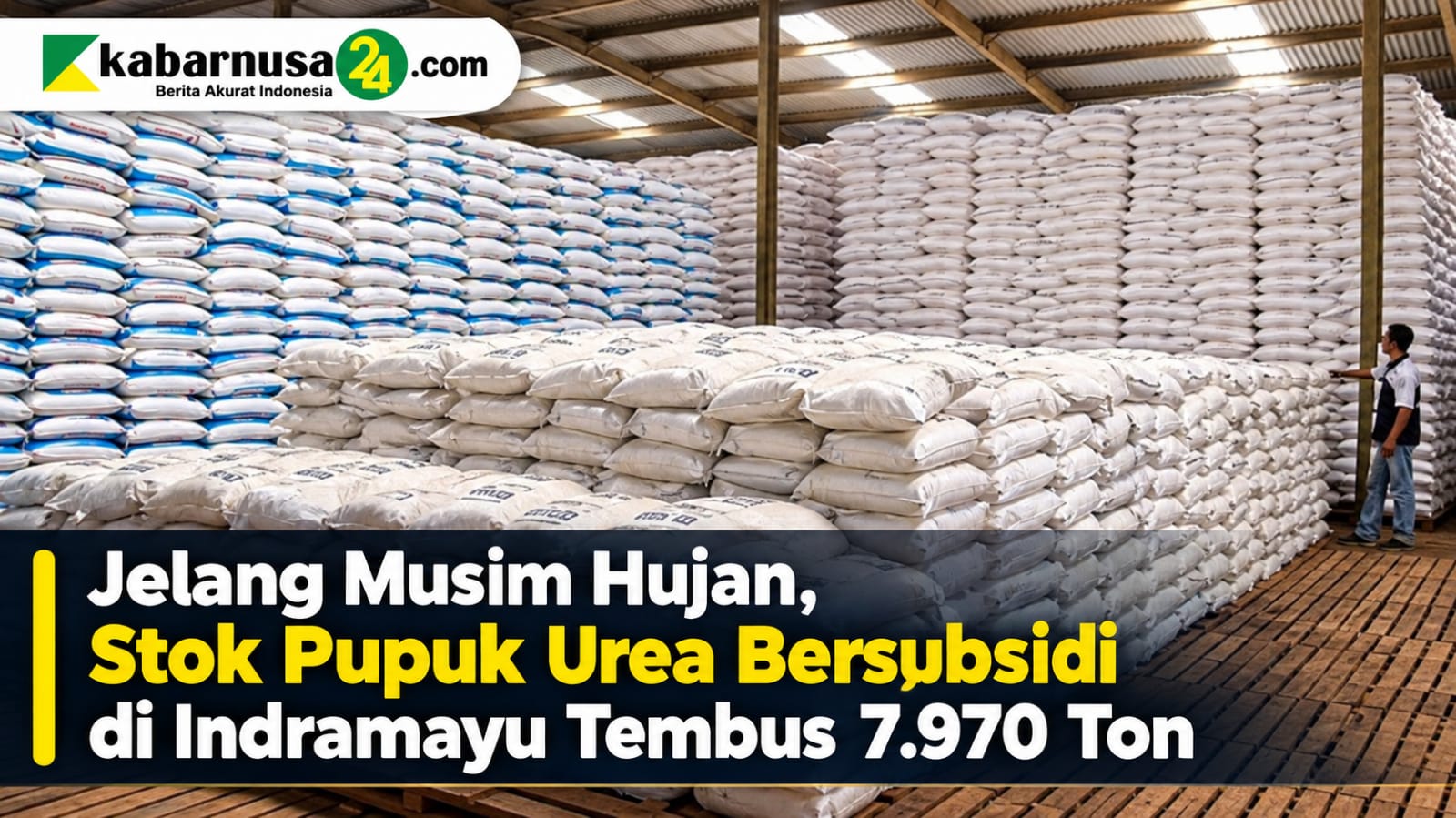 Jelang Musim Hujan, Stok Pupuk Urea Bersubsidi di Indramayu Tembus 7.970 Ton