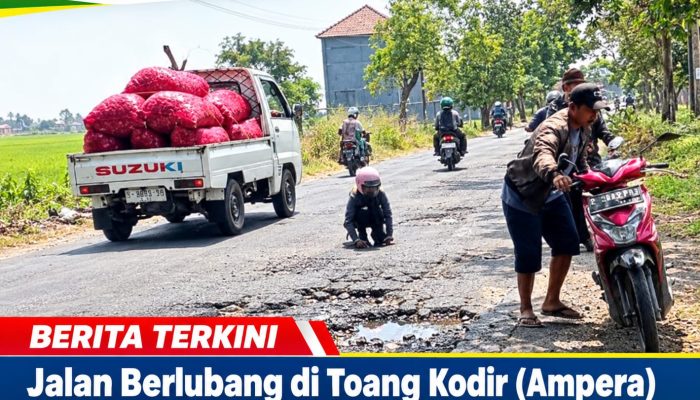 Jalan Berlubang di Toang Kodir (Ampera) Bulak Jatibarang, Banyak Pemotor Terjatuh