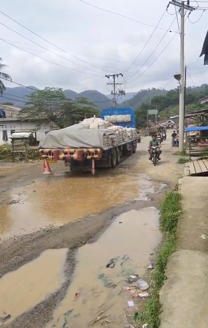 Jalan Provinsi Sedang Diperbaiki, Truk Tronton Pengangkut Semen Tetap Melintas, Siapa yang Bertanggung Jawab?