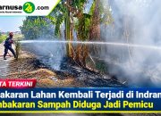 Kebakaran Lahan Kembali Terjadi di Indramayu, Pembakaran Sampah Diduga Jadi Pemicu