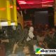 Demi Haul Majemuk Masyaikh Sukorejo, Ribuan Alumni dan Wali Santri Rela Tidur di Parkiran KMP Dharma Ferry 1