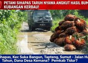 JALAN DESA SIHAPAS MIRIP KANDANG KERBAU! DANA DESA DIPERTANYAKAN, PEMERINTAH DITUNTUT BERTINDAK!