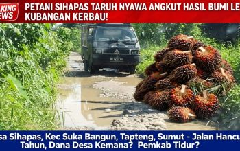 JALAN DESA SIHAPAS MIRIP KANDANG KERBAU! DANA DESA DIPERTANYAKAN, PEMERINTAH DITUNTUT BERTINDAK!