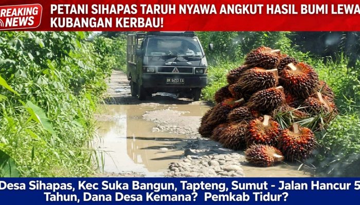 JALAN DESA SIHAPAS MIRIP KANDANG KERBAU! DANA DESA DIPERTANYAKAN, PEMERINTAH DITUNTUT BERTINDAK!