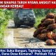 JALAN DESA SIHAPAS MIRIP KANDANG KERBAU! DANA DESA DIPERTANYAKAN, PEMERINTAH DITUNTUT BERTINDAK!
