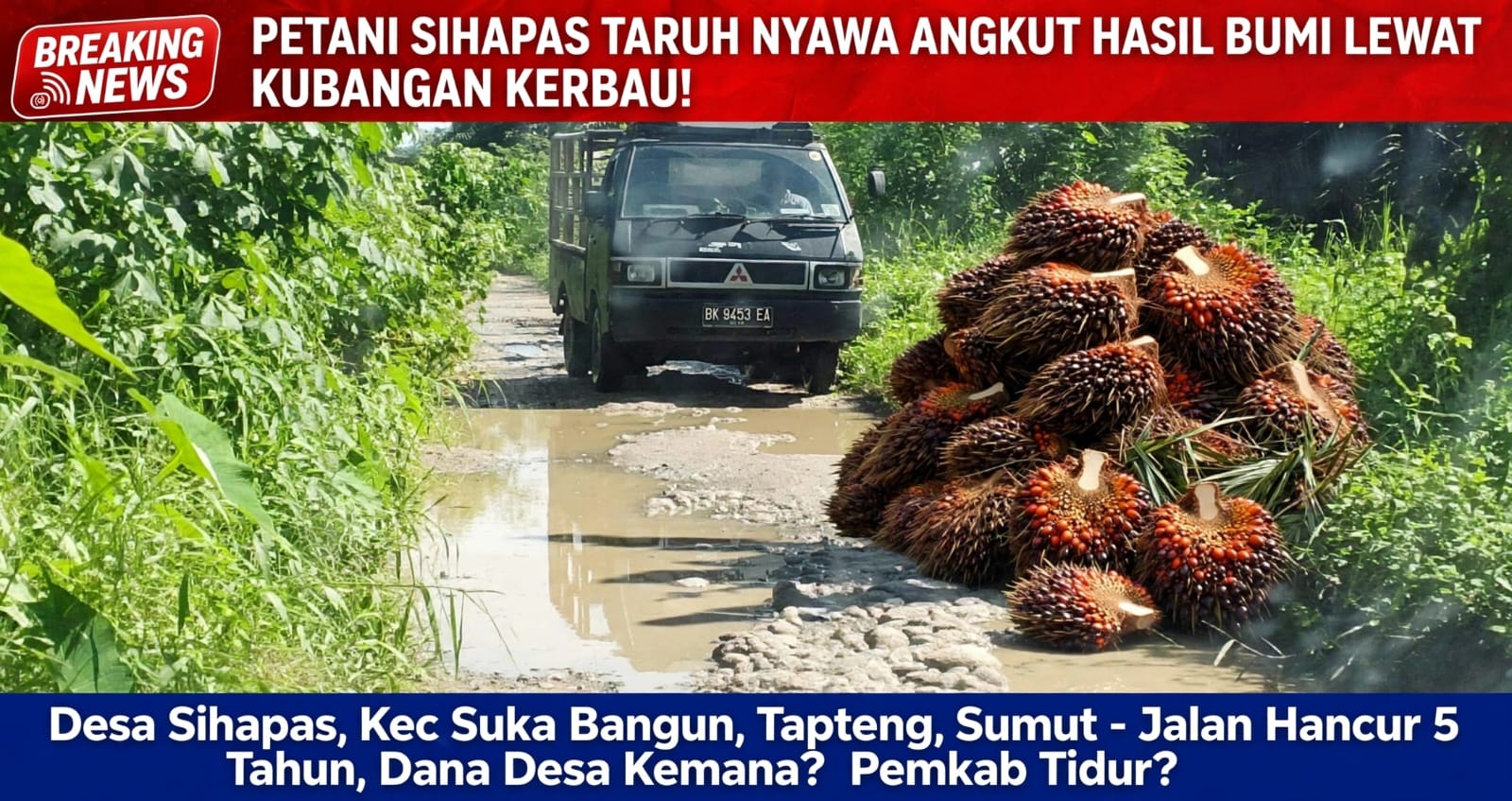 JALAN DESA SIHAPAS MIRIP KANDANG KERBAU! DANA DESA DIPERTANYAKAN, PEMERINTAH DITUNTUT BERTINDAK!