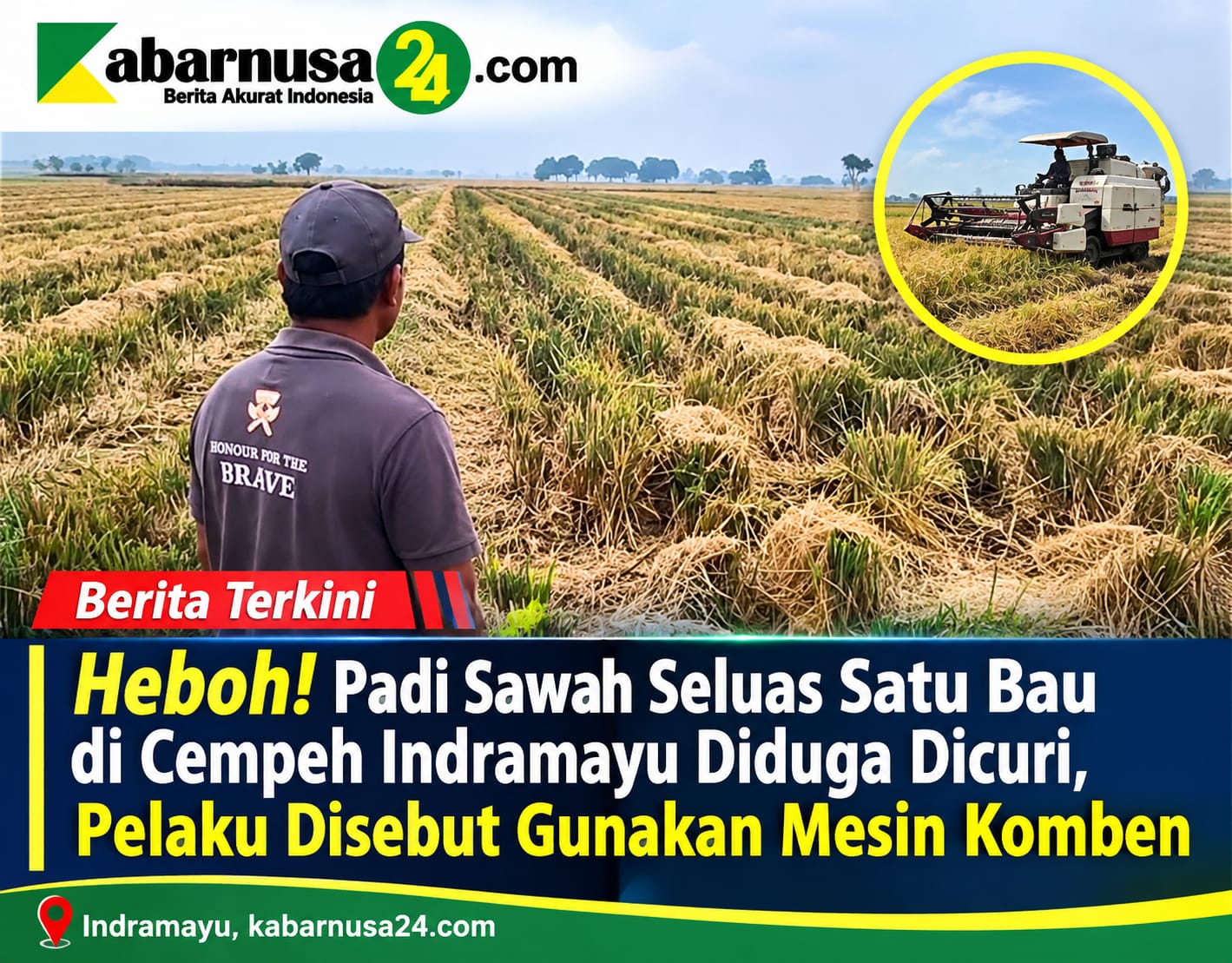 Heboh! Padi Sawah Seluas Satu Bau di Cempeh Indramayu Diduga Dicuri, Pelaku Disebut Gunakan Mesin komben