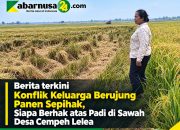 Konflik Keluarga Berujung Panen Sepihak, Siapa Berhak atas Padi di Sawah desa Cempeh Lelea