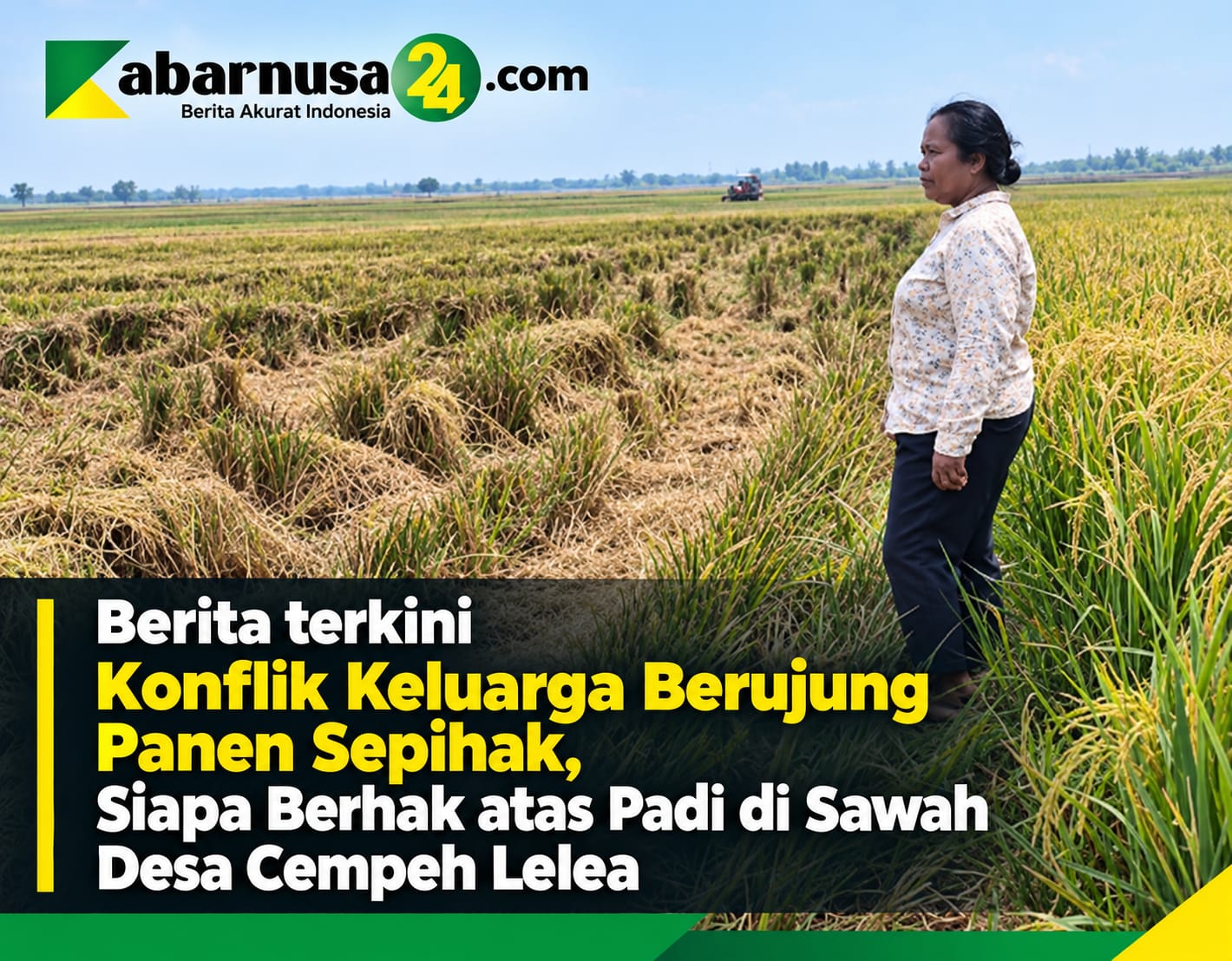 Konflik Keluarga Berujung Panen Sepihak, Siapa Berhak atas Padi di Sawah desa Cempeh Lelea