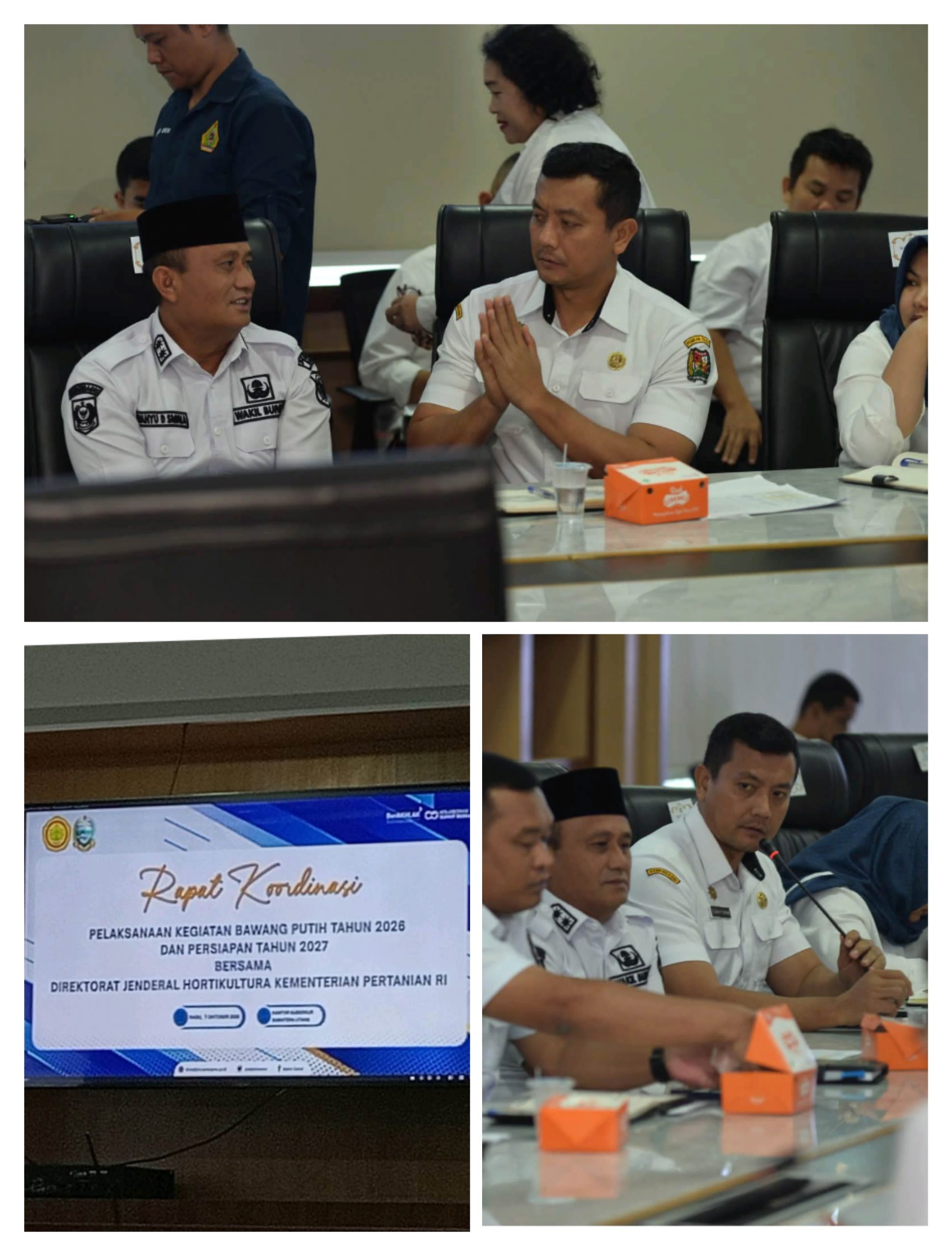 Pemkab Karo Siap Akselerasi Pengembangan Kawasan Bawang Putih 2026 - 2027